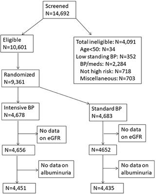 CVD risk in non-albuminuric chronic kidney disease in hypertensive, non-diabetic subjects: A post-hoc analysis from SPRINT